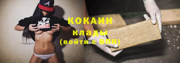 гашик Арсеньев