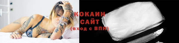 гашик Арсеньев