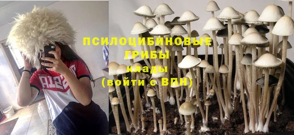 амф Армянск