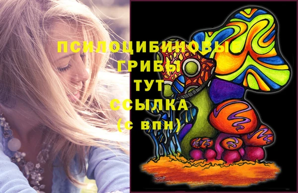 гашик Арсеньев