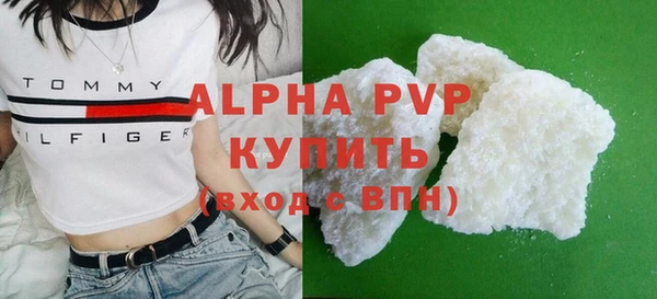 гашик Арсеньев