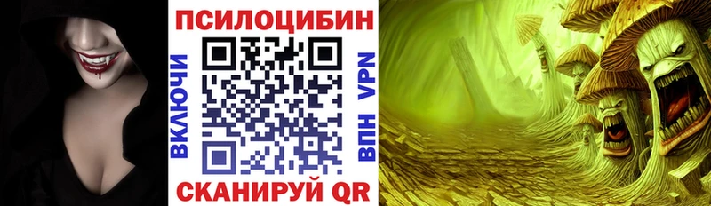 хочу наркоту  Рассказово  Галлюциногенные грибы Psilocybine cubensis 